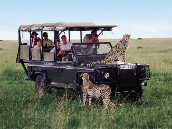 Safari Africano